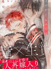 罗小黑战记 共和国动漫作品